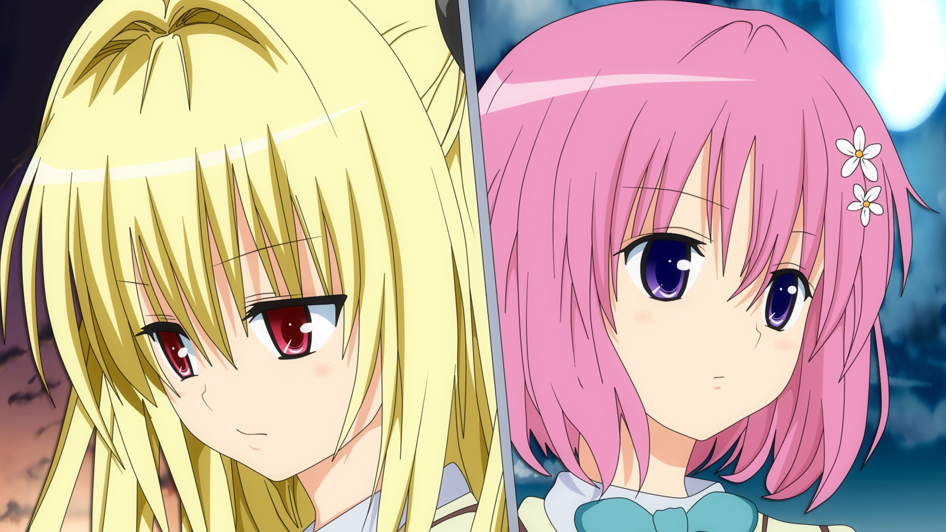 Motto To Love-ru - Other & Anime Background Wallpapers on Desktop Nexus  (Image 489323)