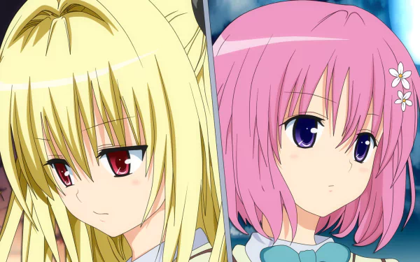 HD wallpaper featuring Golden Darkness and Momo Velia Deviluke from To Love-Ru. The characters display vibrant colors with blonde, pink hair and striking purple and red eyes.