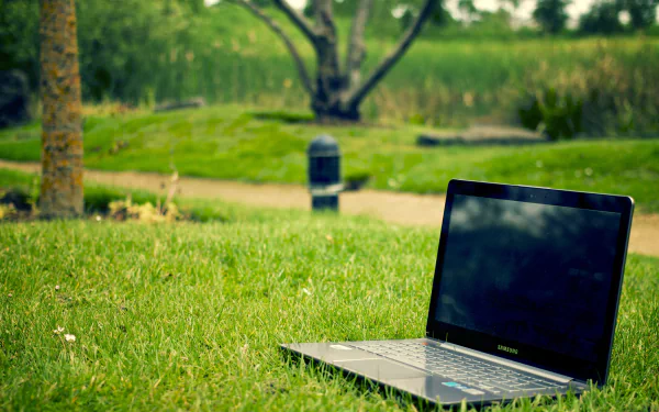 A Samsung laptop rests on green grass in a park, blending technology with nature in this HD PC desktop wallpaper and background.