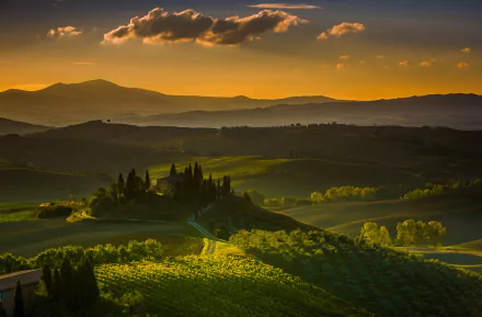 A serene Tuscany landscape featuring rolling hills, a vineyard, and a charming house silhouetted against a striking sunset, capturing the essence of Italian countryside beauty.