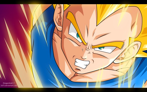 Anime Dragon Ball Z Dragon Ball Vegeta HD Wallpaper | Background Image