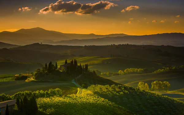 A serene Tuscany landscape featuring rolling hills, a vineyard, and a charming house silhouetted against a striking sunset, capturing the essence of Italian countryside beauty.