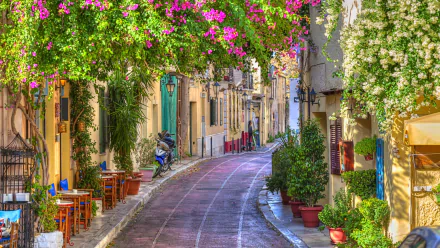 A picturesque street in Athens, Greece, lined with colorful houses and lush greenery, captured in high definition. An inviting scene showcasing beautiful architecture and charming outdoor cafes.