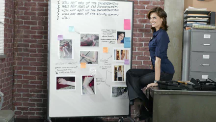 HD wallpaper featuring Stana Katic as Kate Beckett from the TV show Castle, posing beside an evidence board in a detective office setting.