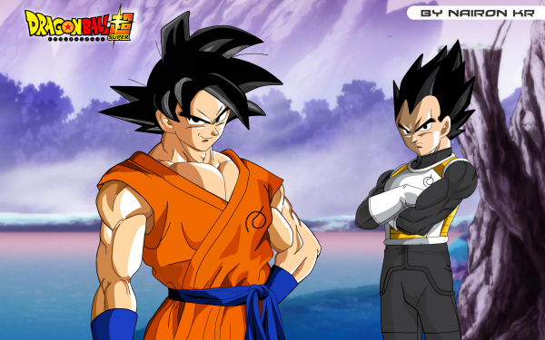 Anime Dragon Ball Super Dragon Ball Vegeta Goku HD Wallpaper | Background Image
