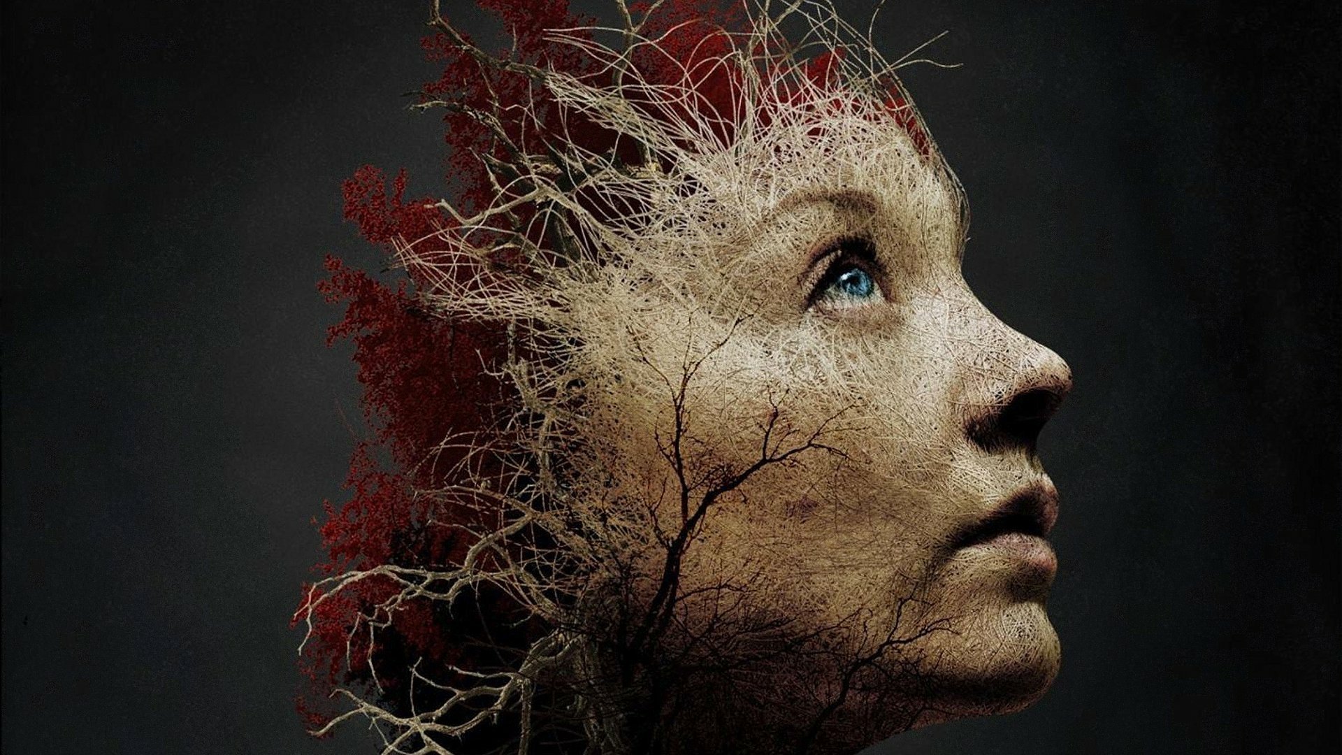 HD desktop wallpaper featuring Natalie Dormer’s face blended with tree branches, inspired by the movie The Forest.