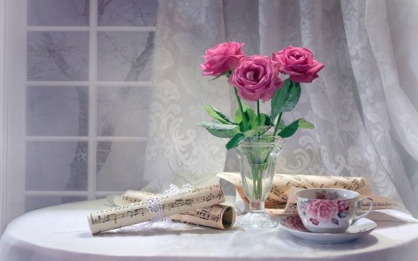 Photography Still Life Rose Pink Rose Tea Cup HD Wallpaper | Background Image