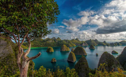 Lush tree overlooking the stunning seascape of Raja Ampat, Indonesia, with multiple karst islands under a vibrant sky in this HD nature landscape wallpaper.