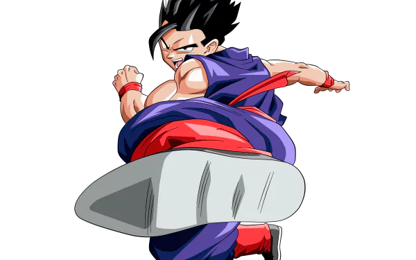 Gohan from Dragon Ball Z is depicted in an action pose, showcasing his muscular build and colorful attire, set against a sleek black background for a striking HD desktop wallpaper.