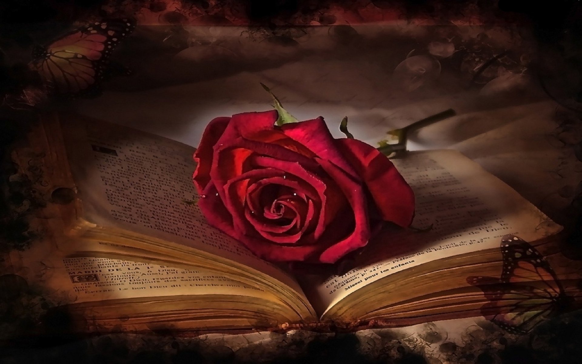 A HD desktop wallpaper featuring a red rose laid on an open book, surrounded by butterflies. The ambiance highlights themes of love and Valentine's Day.