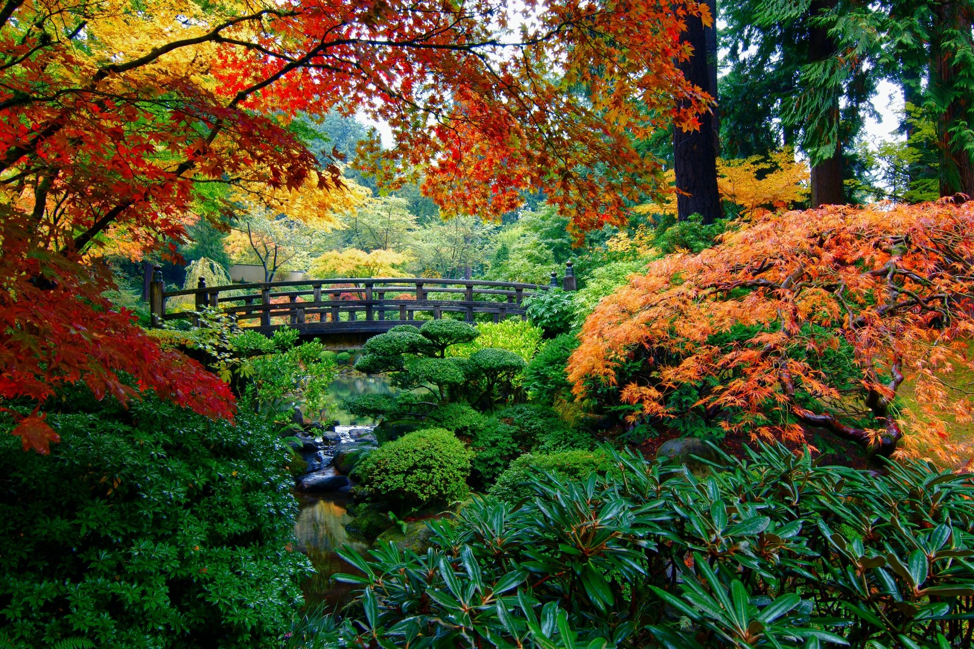Japanese Garden in Autumn Fondo de pantalla HD | Fondo de Escritorio