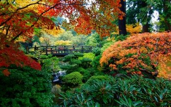 30 日本庭园高清壁纸 桌面背景