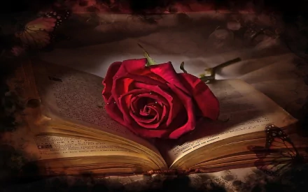 A HD desktop wallpaper featuring a red rose laid on an open book, surrounded by butterflies. The ambiance highlights themes of love and Valentine's Day.