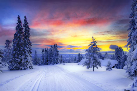 A stunning HD desktop wallpaper depicting a snow-covered road flanked by trees at sunset, creating a serene winter landscape with vibrant hues in the sky.