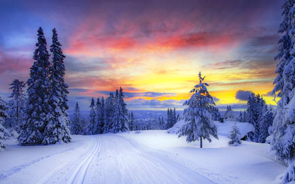 A stunning HD desktop wallpaper depicting a snow-covered road flanked by trees at sunset, creating a serene winter landscape with vibrant hues in the sky.