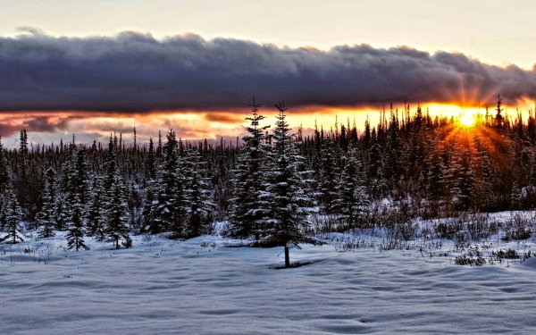 Earth Sunset Nature Alaska Winter Snow Sunbeam Cloud Forest HD Wallpaper | Background Image
