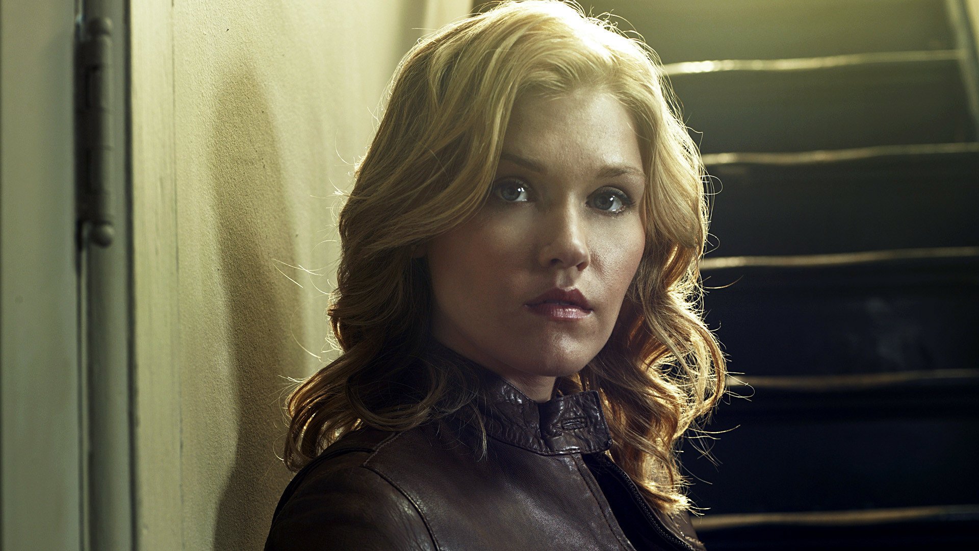 Download TV Show Haven HD Wallpaper