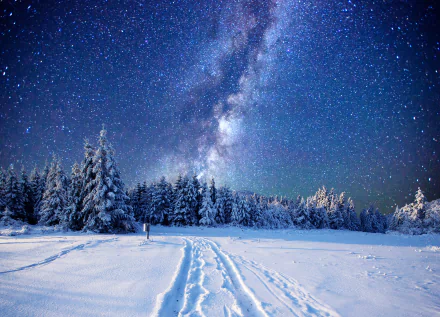 A stunning HD desktop wallpaper featuring a starry night sky with the Milky Way over a snowy forest in winter, blending the beauty of nature and the cosmos.