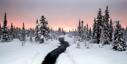 Snowy winter forest landscape with a winding stream under a pastel sunset — HD PC desktop wallpaper background.