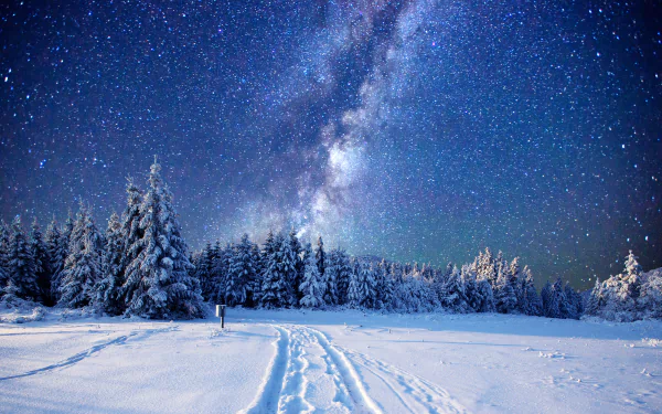 A stunning HD desktop wallpaper featuring a starry night sky with the Milky Way over a snowy forest in winter, blending the beauty of nature and the cosmos.