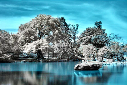 Infrared photography captures a serene lakeside scene with trees and rocks reflected in the water, designed as an HD PC desktop wallpaper and background.
