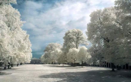  Infrared Photography central city park
