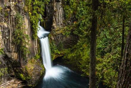 Toketee Falls cascades through lush green trees in an Oregon forest, captured in stunning 4K Ultra HD as a vibrant desktop wallpaper and nature background.