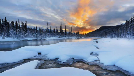Snow-covered river flows through a forested landscape with a vibrant sunset sky and mountain backdrop in Banff National Park, Alberta, Canada during winter.
