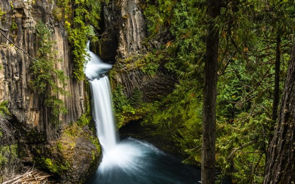 Nature Waterfall Waterfalls Oregon Toketee Falls Forest Green Tree HD Wallpaper | Background Image
