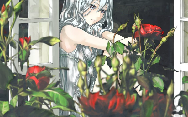 A sad anime character with long white hair gazes out from a window, surrounded by vibrant red roses, creating an emotional and captivating HD wallpaper.