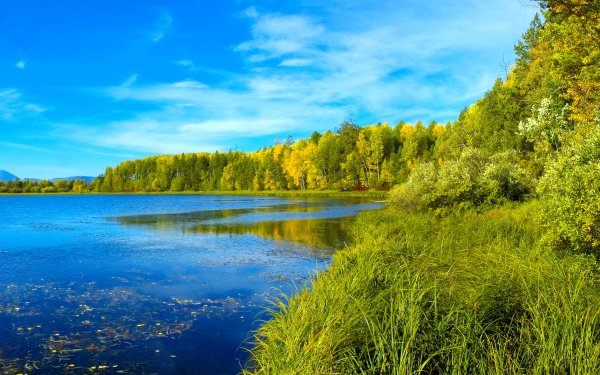 Nature Lake Lakes Forest Grass Sky HD Wallpaper | Background Image