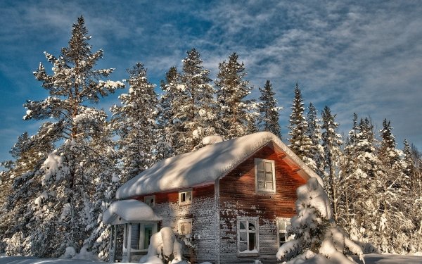 Photography Winter Earth Man Made House Tree Pine Snow HD Wallpaper | Background Image