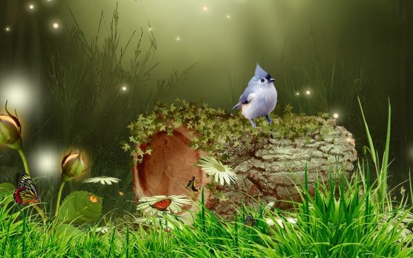 Artistic Forest Fantasy Bird Log Grass Sparkles Bluebird HD Wallpaper | Background Image