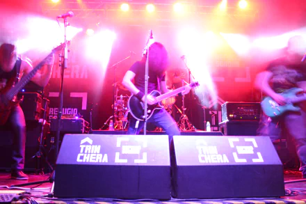  bull of phalaris trinchera