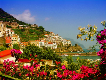 Vibrant pink flowers frame a stunning view of Amalfi’s colorful hillside houses and boats on the ocean, capturing the charm of this iconic man-made Italian coastal town.