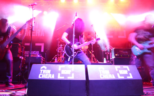  bull of phalaris trinchera