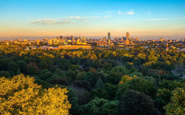 HD desktop wallpaper showing Boston skyline with a vibrant cityscape on the horizon above dense green trees in a natural landscape under a clear blue sky.