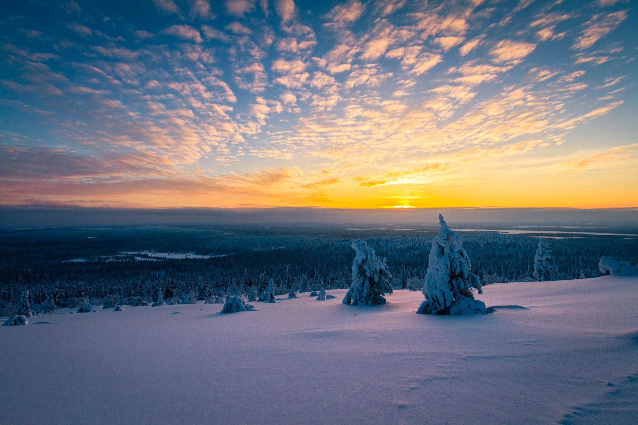 Download Cloud Tree Forest Nature Sky Horizon Landscape Sunrise Snow ...