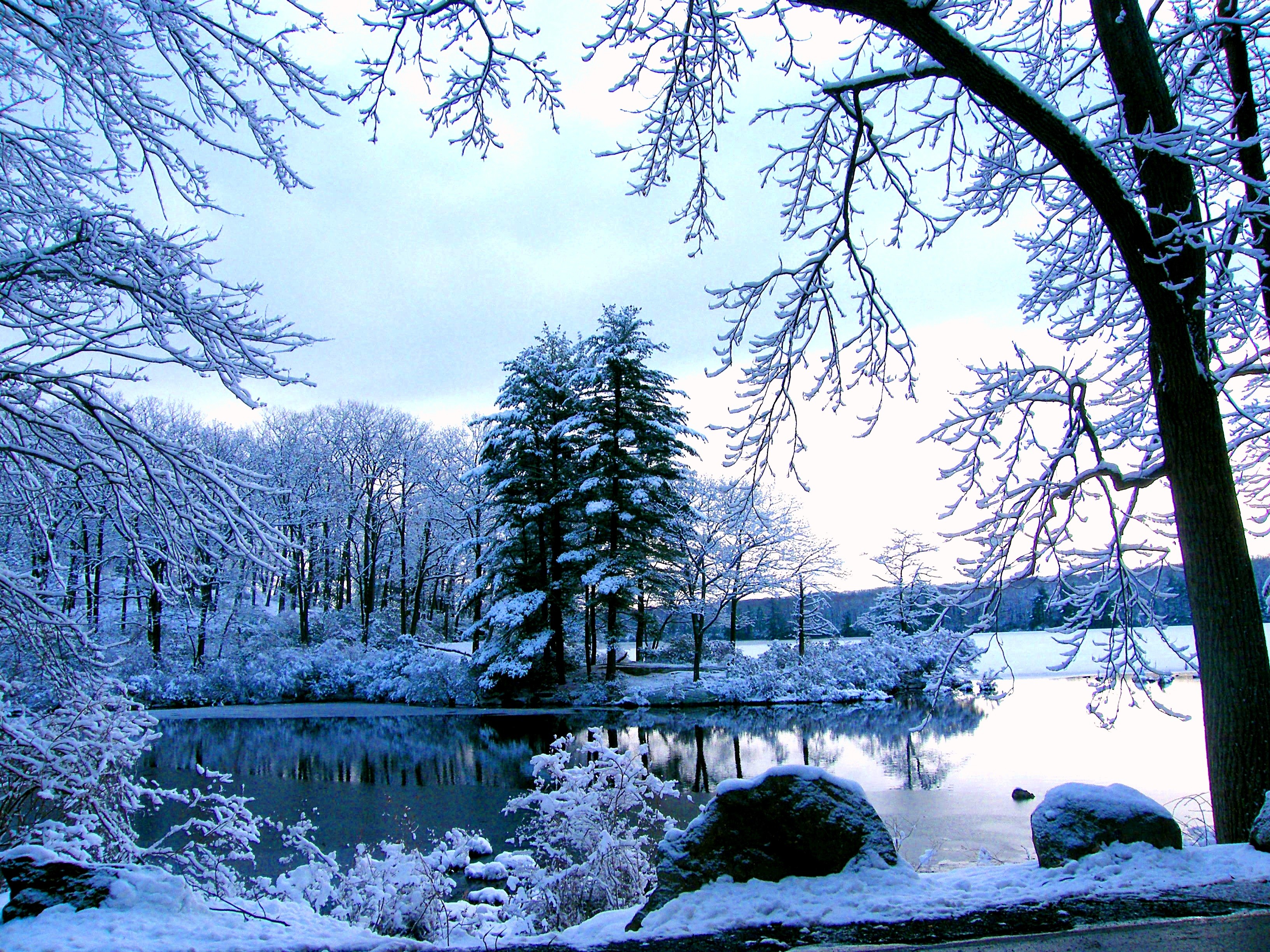 Зима. Зимний пейзаж. Зимнее озеро. Снежный пейзаж. Зимнее озеро в лесу.