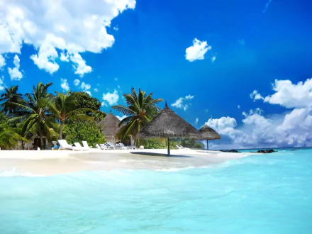 HD PC desktop wallpaper: Bahamian tropical beach with white sand, palm trees and thatched umbrellas beside turquoise ocean under a vivid blue sky.