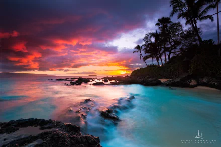 Vibrant HD desktop wallpaper of a tropical beach at sunset, featuring palm trees, a colorful cloud-filled sky, calm ocean waves, and lush nature along the shore.