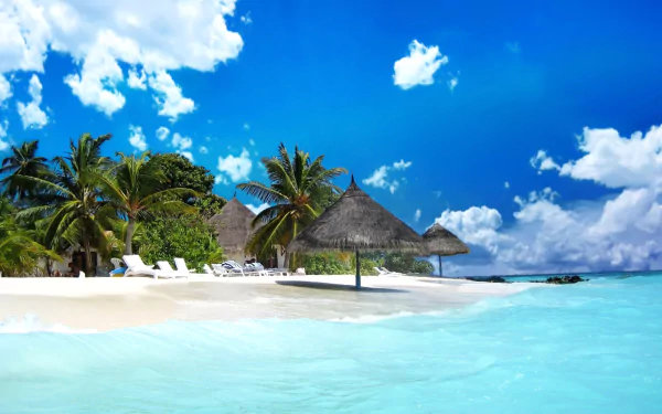 HD PC desktop wallpaper: Bahamian tropical beach with white sand, palm trees and thatched umbrellas beside turquoise ocean under a vivid blue sky.