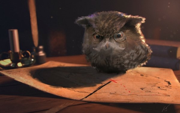 Fantasy Owl Fantasy Animals Bird HD Wallpaper | Background Image