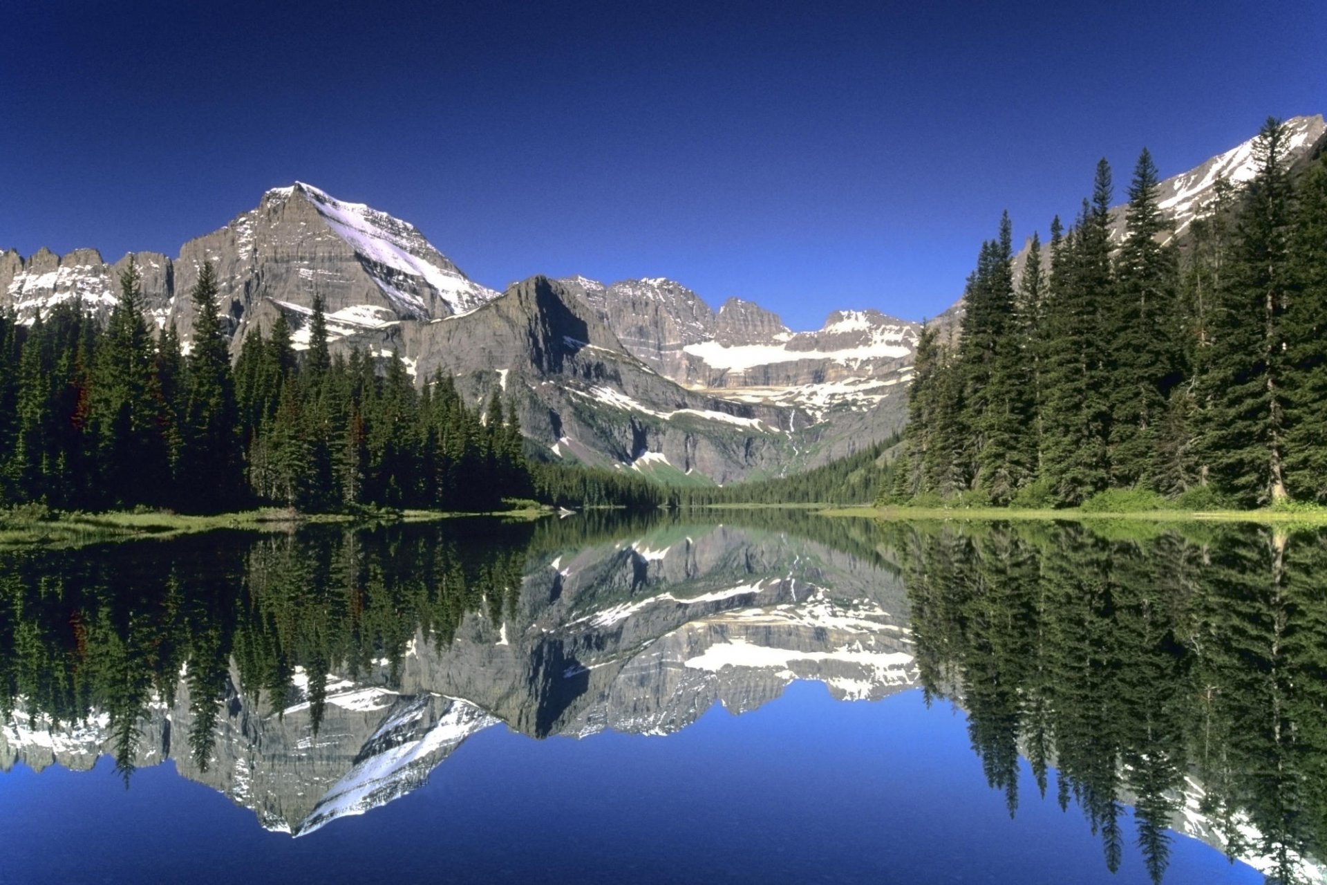 HD desktop wallpaper featuring a stunning snowy mountain landscape reflected in a calm lake, surrounded by lush pine trees, under a clear blue sky.