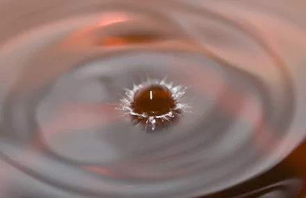 splash nature water drop HD Desktop Wallpaper | Background Image