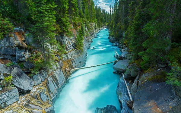  River in Yoho National Park, Canada