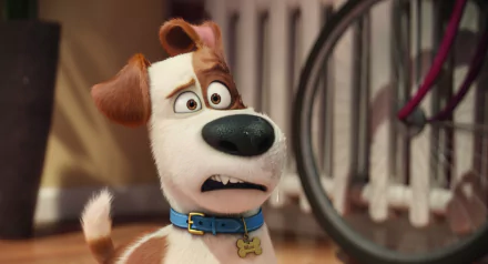 Max from *The Secret Life of Pets* displays a surprised expression in this HD wallpaper, capturing a moment of animated charm from the beloved movie.