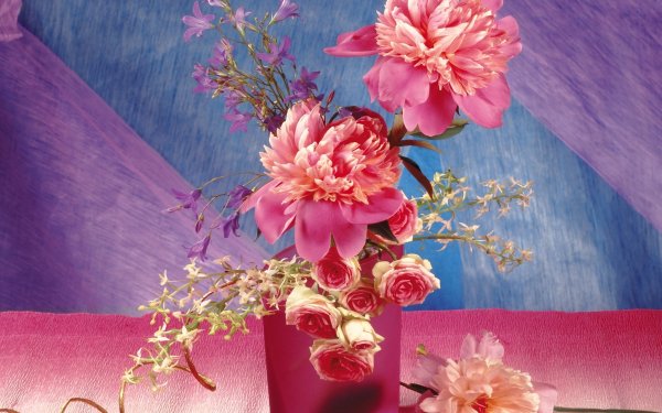 Man Made Flower Peony Vase Pink Flower HD Wallpaper | Background Image