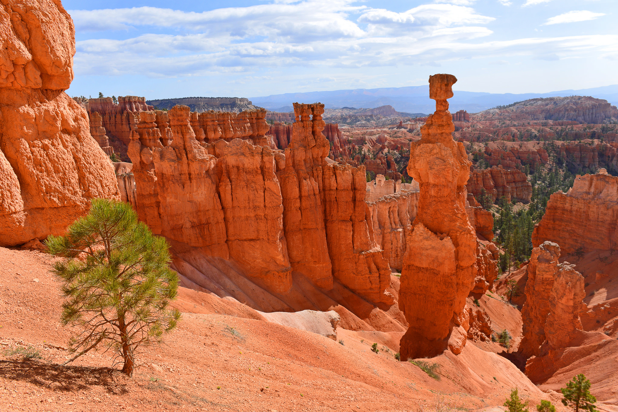 Bryce Canyon National Park HD Wallpaper | Background Image | 2048x1367