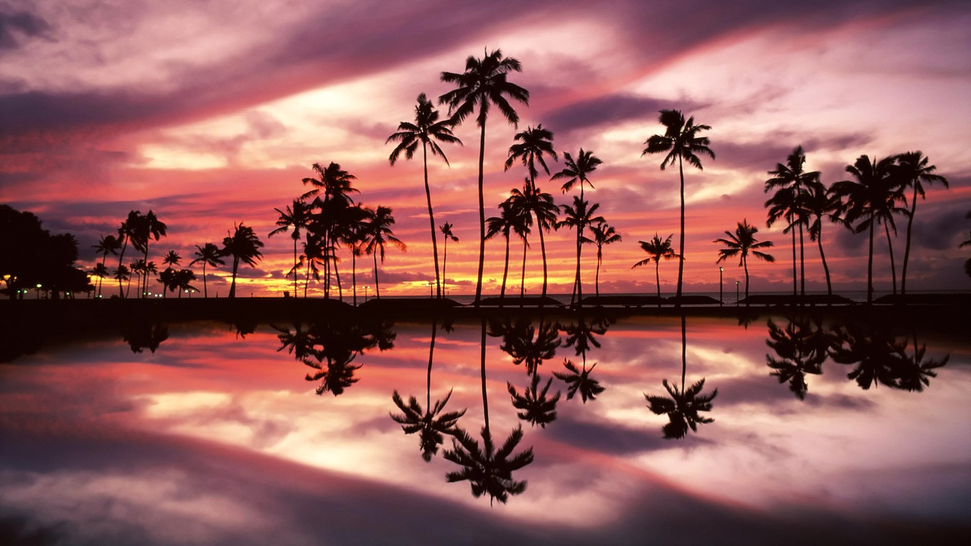 Palm Tree Sunset And Reflection Fond Décran Hd Arrière